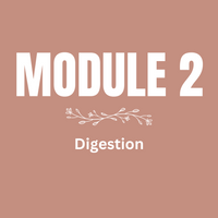 Module 2. Digestion. NUsisters. New Start.