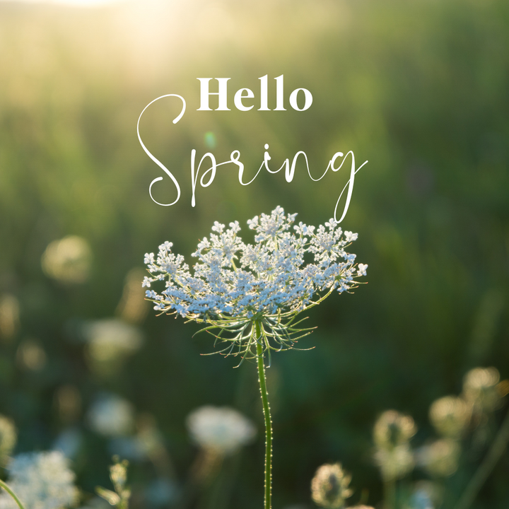 Spring is here and so is detox season! 