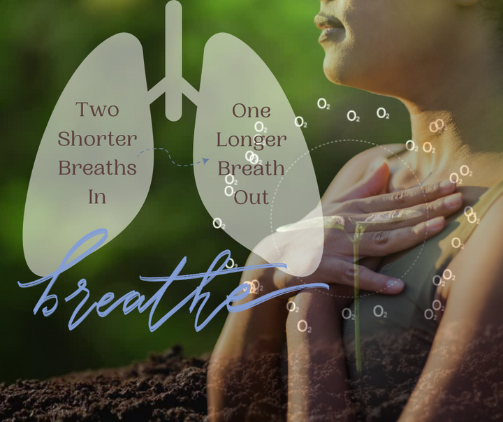 Counteract the ‘Fight or Flight’ Response with the Two Breaths in One Breath Out Technique