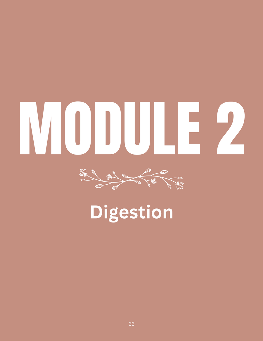 Module 2. Digestion. NUsisters. New Start.